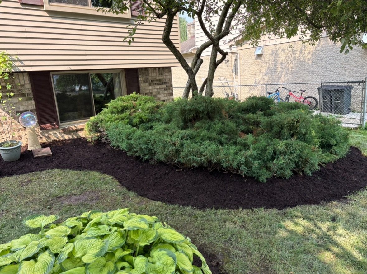 After wooded driveway edge cleanup and mulch